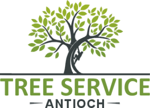 Tree Service Antioch